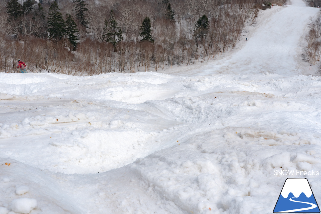 札幌国際スキー場｜2023・ゴールデンウィークがスタート！心配された雪ですが…。大丈夫、ちゃんと残ってくれました(^_-)-☆